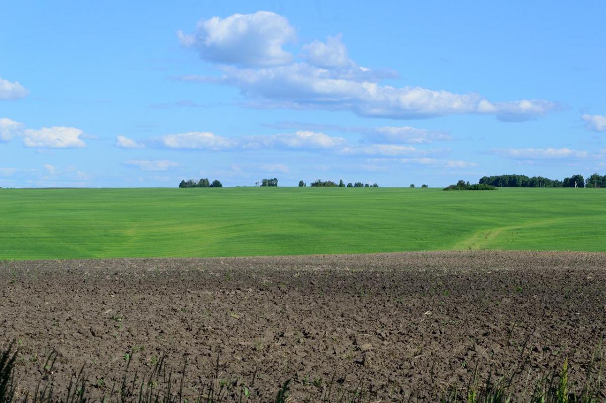 Земли сельхозназначения – важный ресурс области и Саратовской агломерации